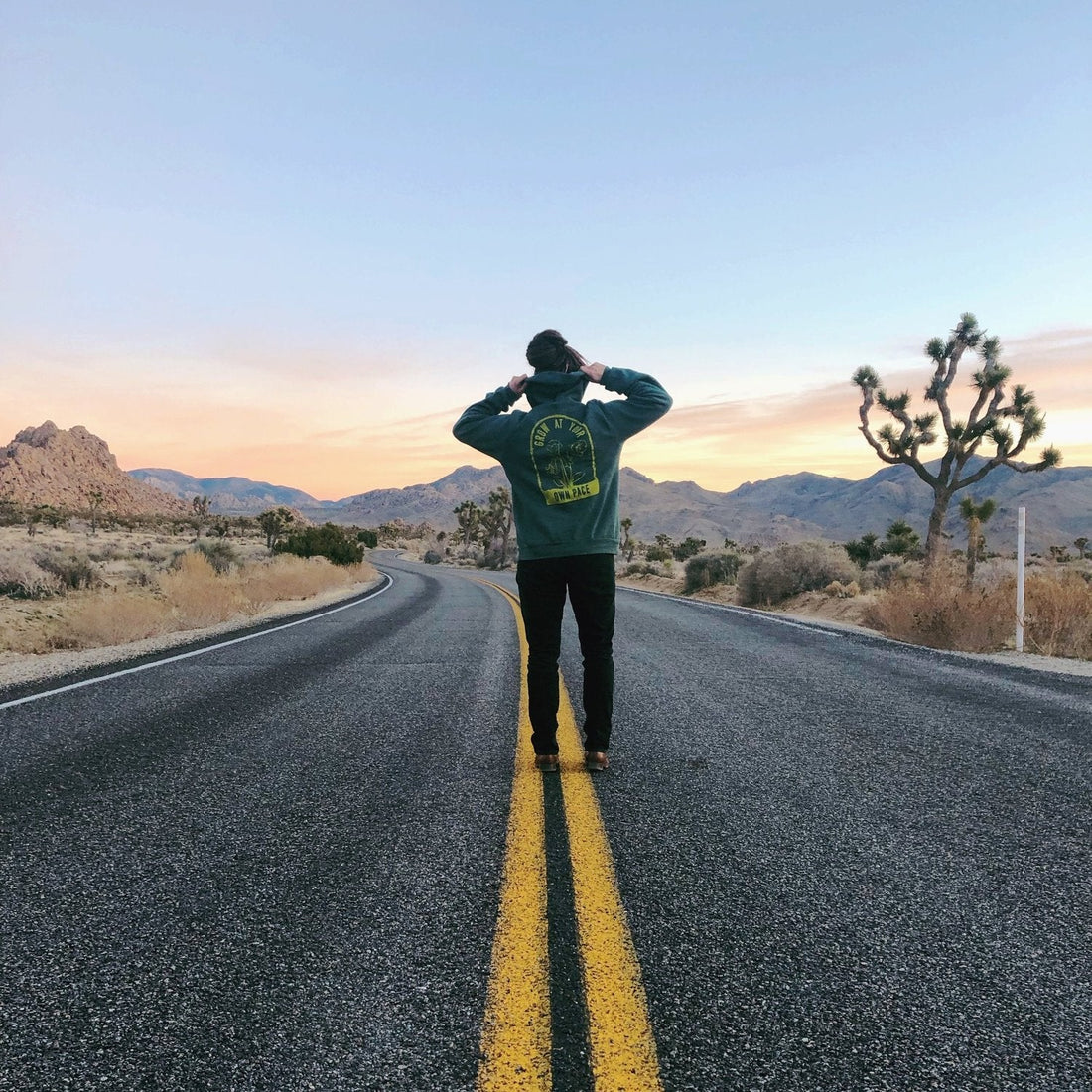 2018 Recap + 2019 Goals - FLAVNT