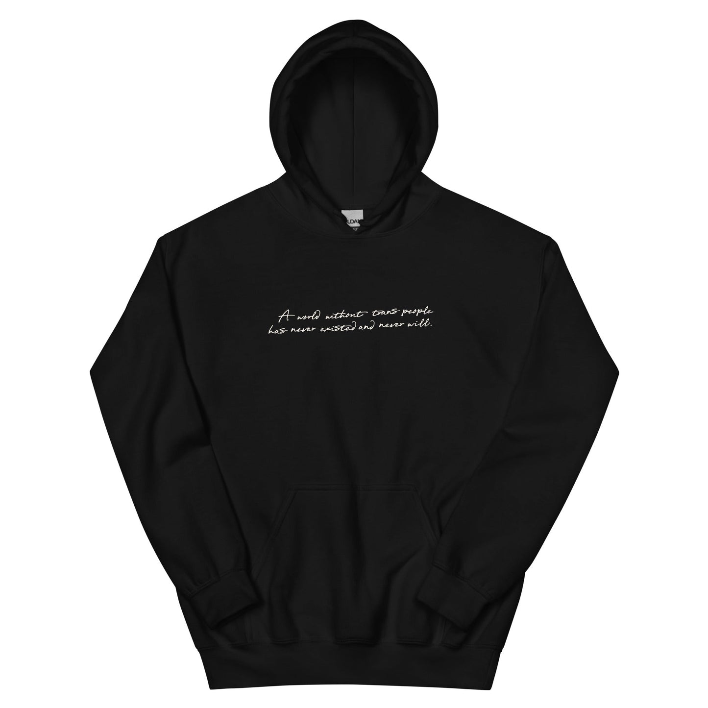 A World Without... Cursive Hoodie - FLAVNT