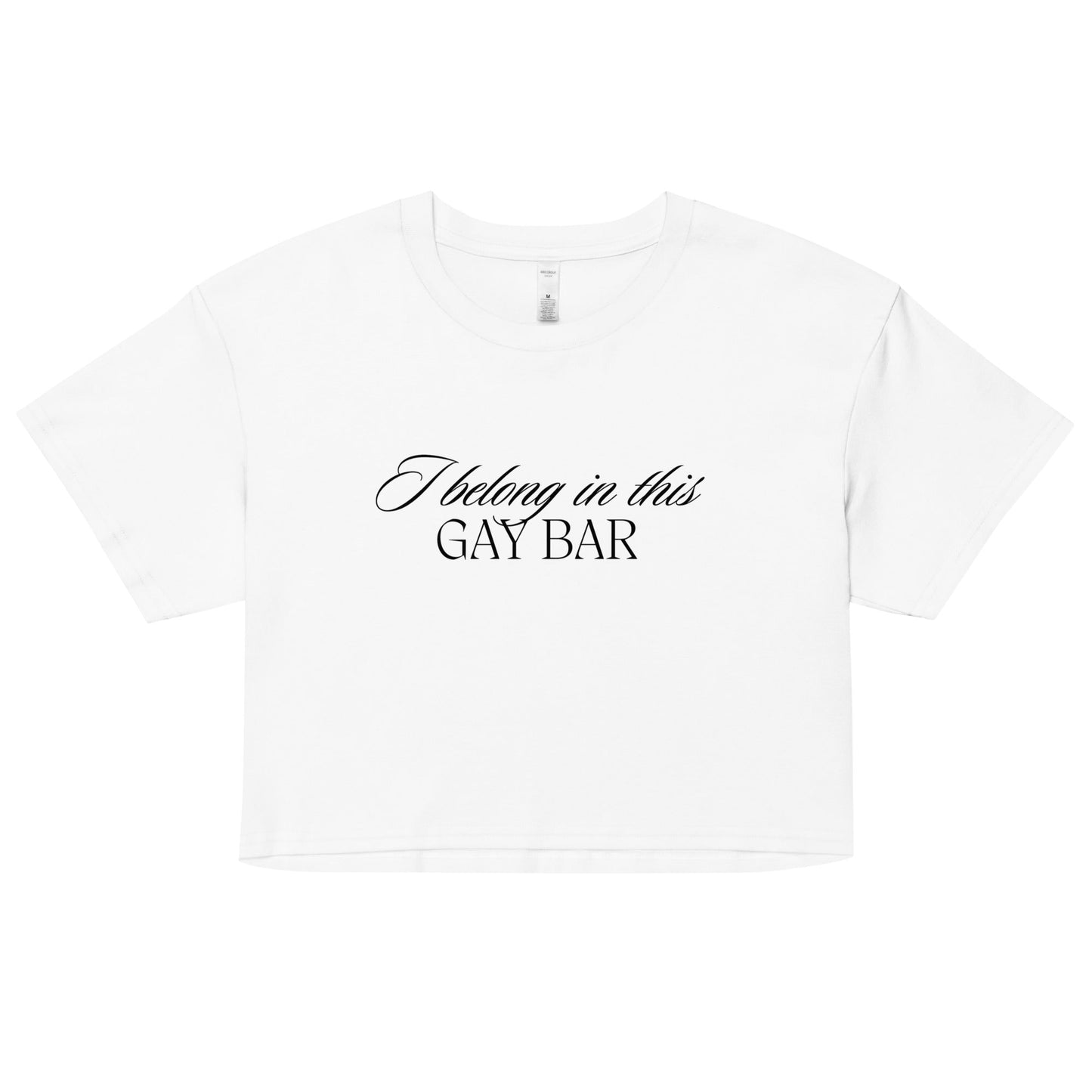 I Belong in This Gay Bar crop top - FLAVNT