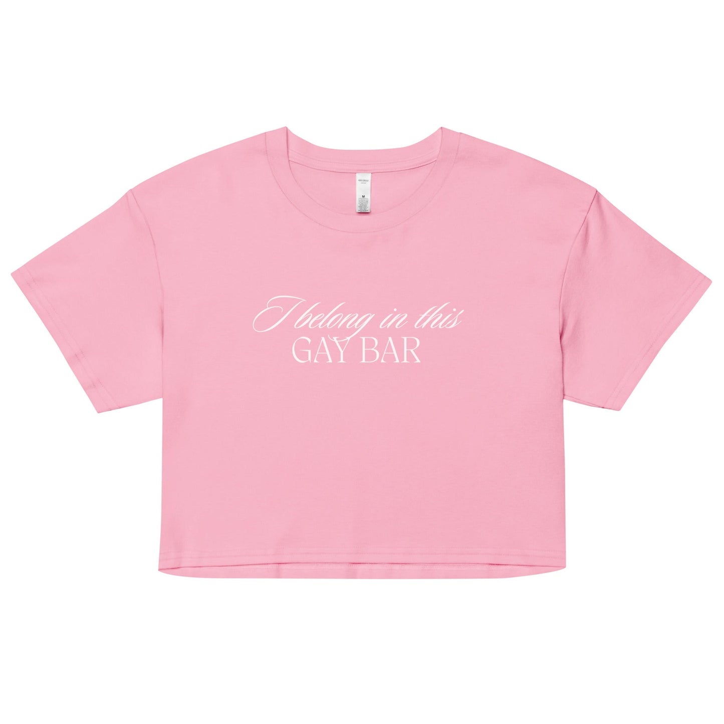 I Belong in This Gay Bar Dark crop top - FLAVNT
