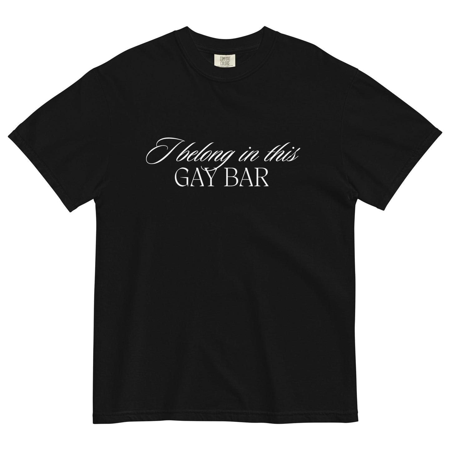 I Belong in This Gay Bar Dark t-shirt - FLAVNT