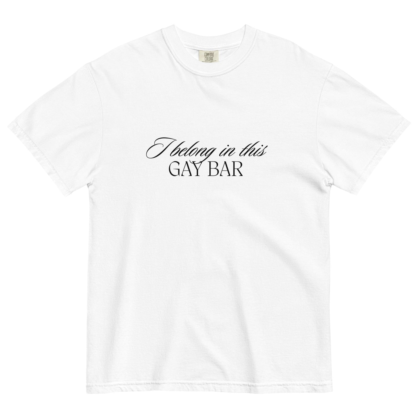 I Belong in This Gay Bar t-shirt - FLAVNT