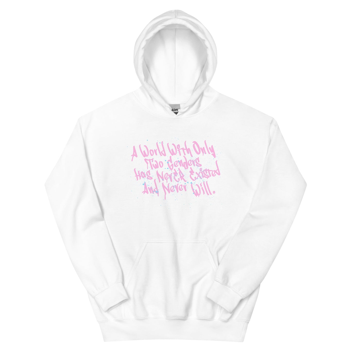 More Than Two Genders Hoodie - FLAVNT