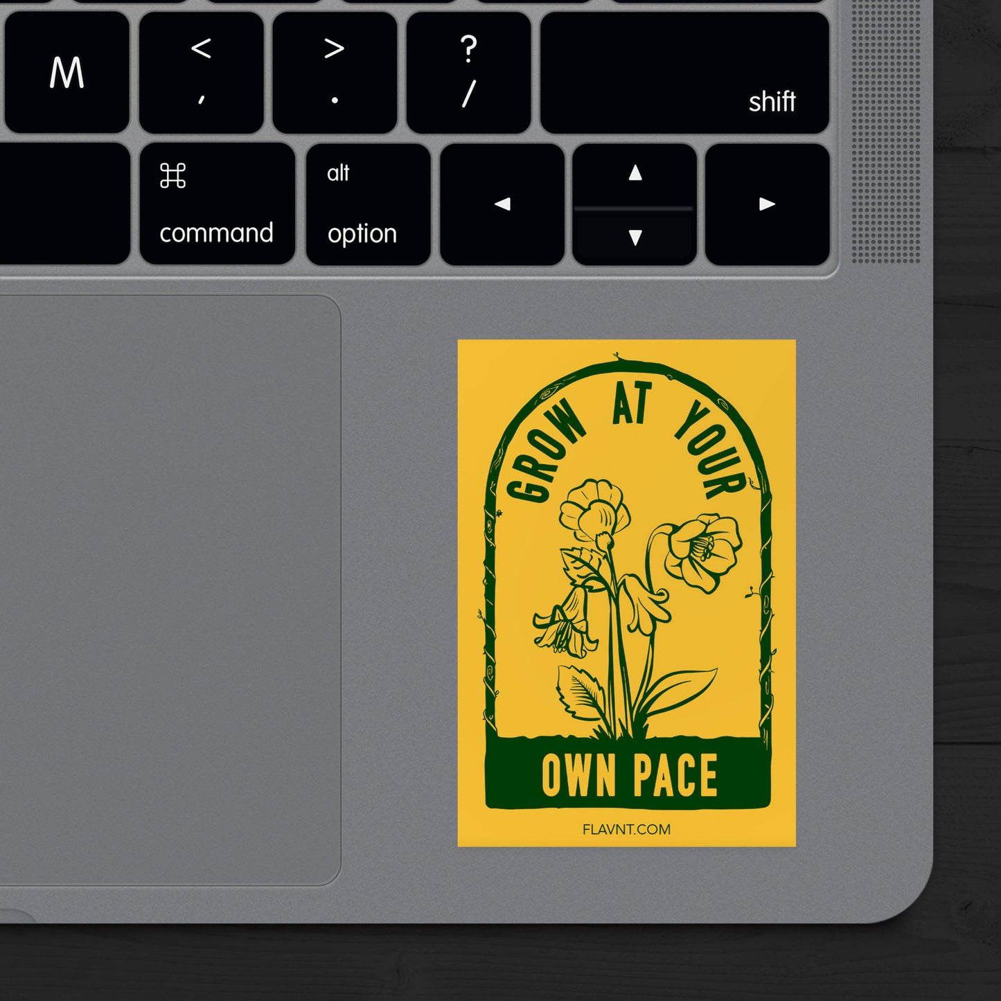 Grow at Your Own Pace Sticker