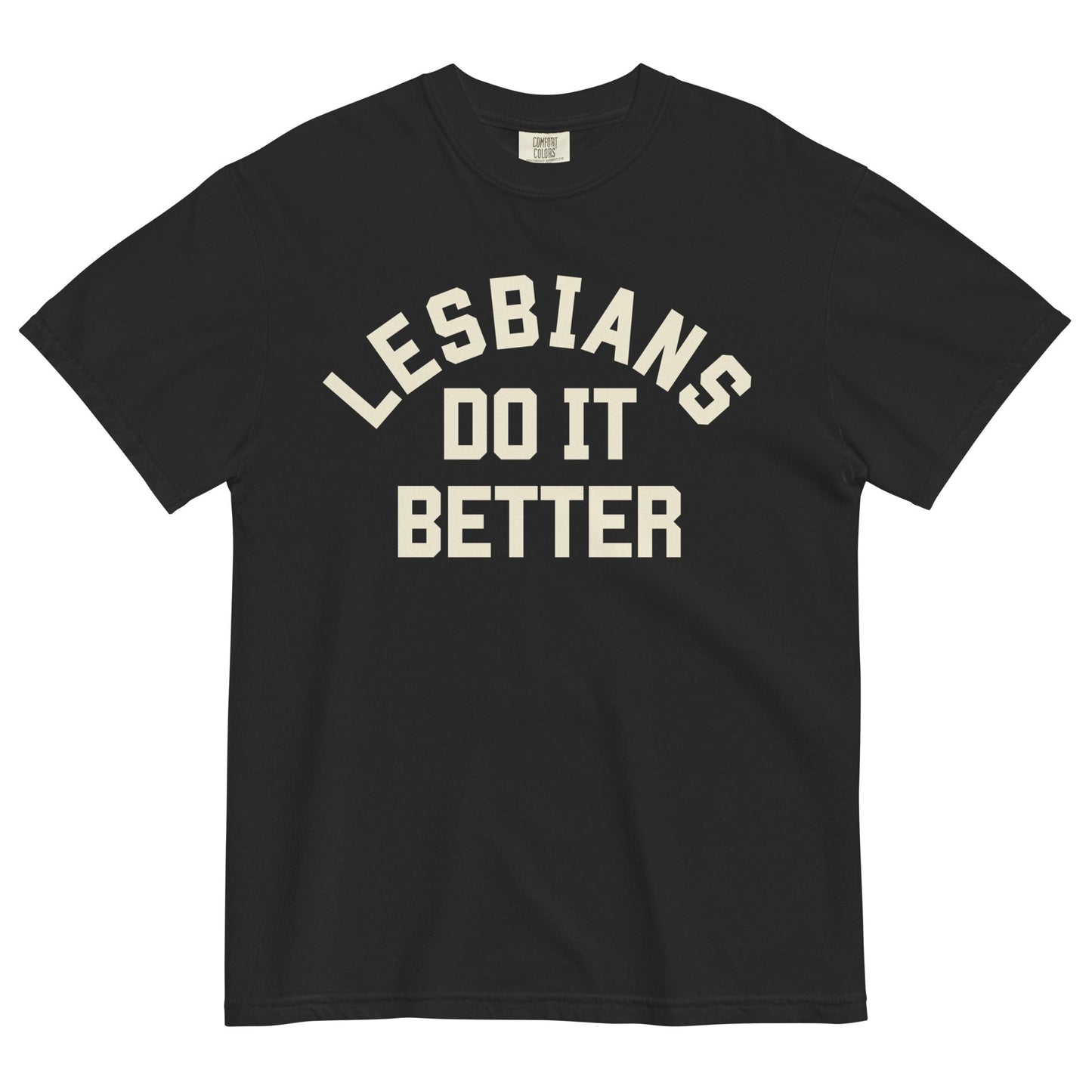 Lesbians do it Better T-Shirt - FLAVNT
